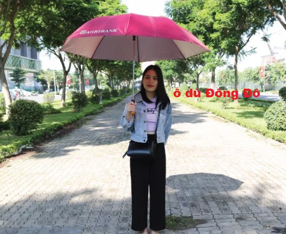 ô dù cầm tay chất lượng cao